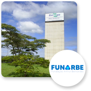 img-funabe img-funabe